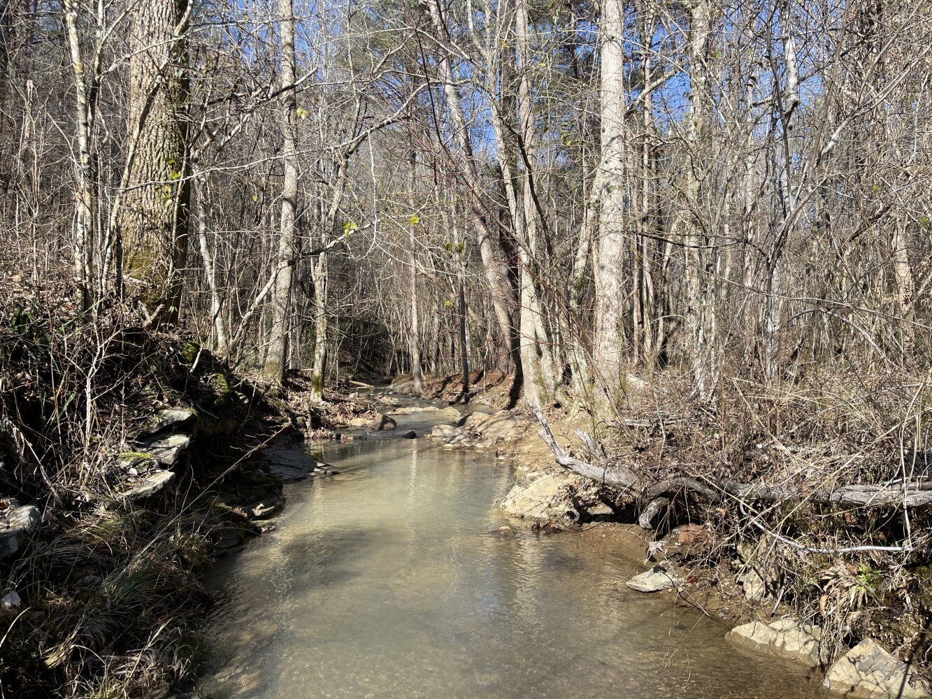 Oakman Hunting & Timber Tract