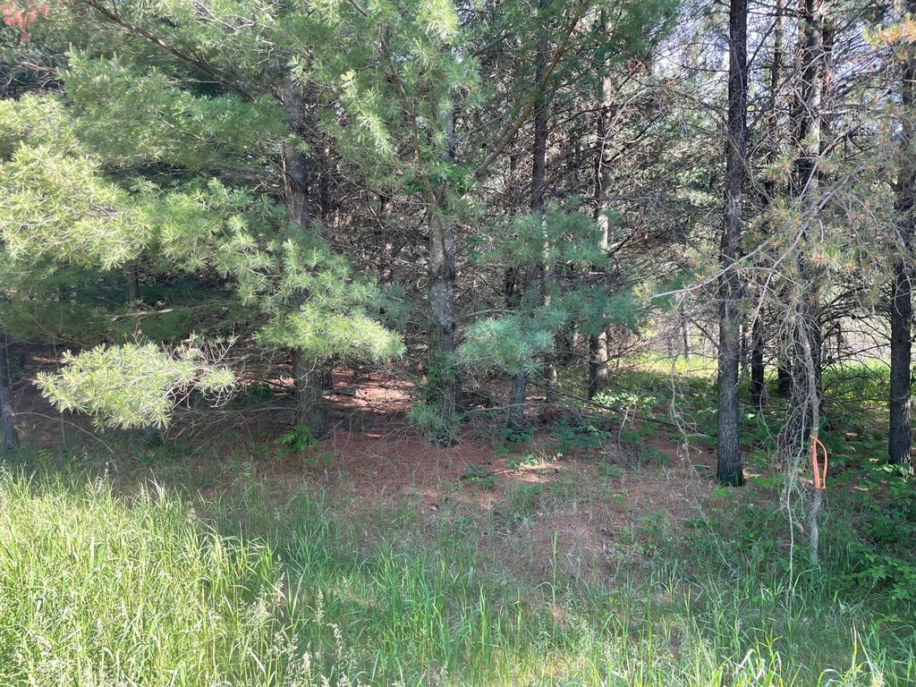 Picture 29