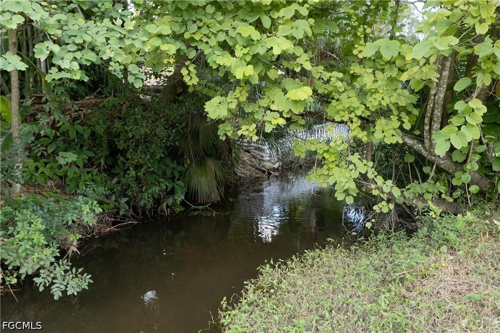 Picture 4