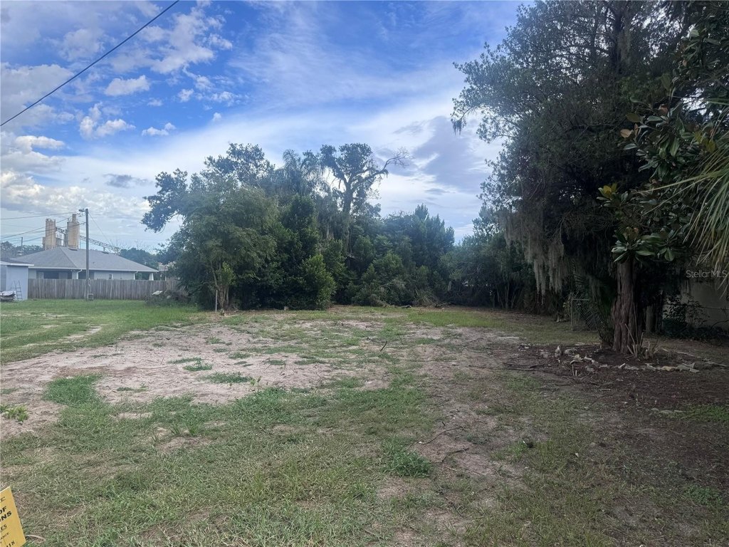Picture 6