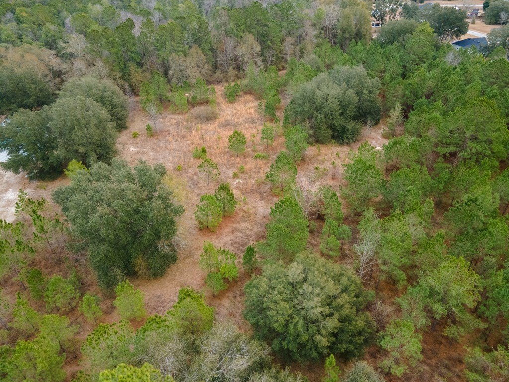 Picture 17
