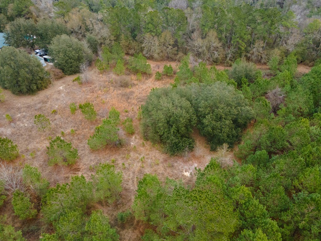 Picture 16