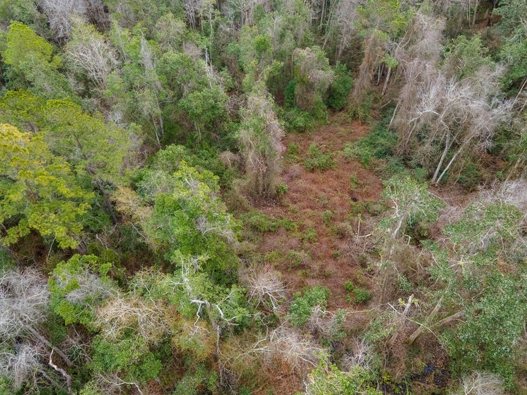 Picture 21