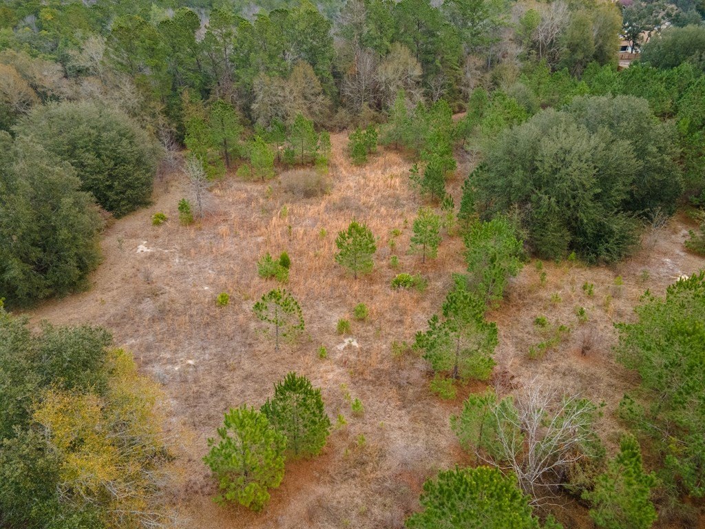 Picture 18