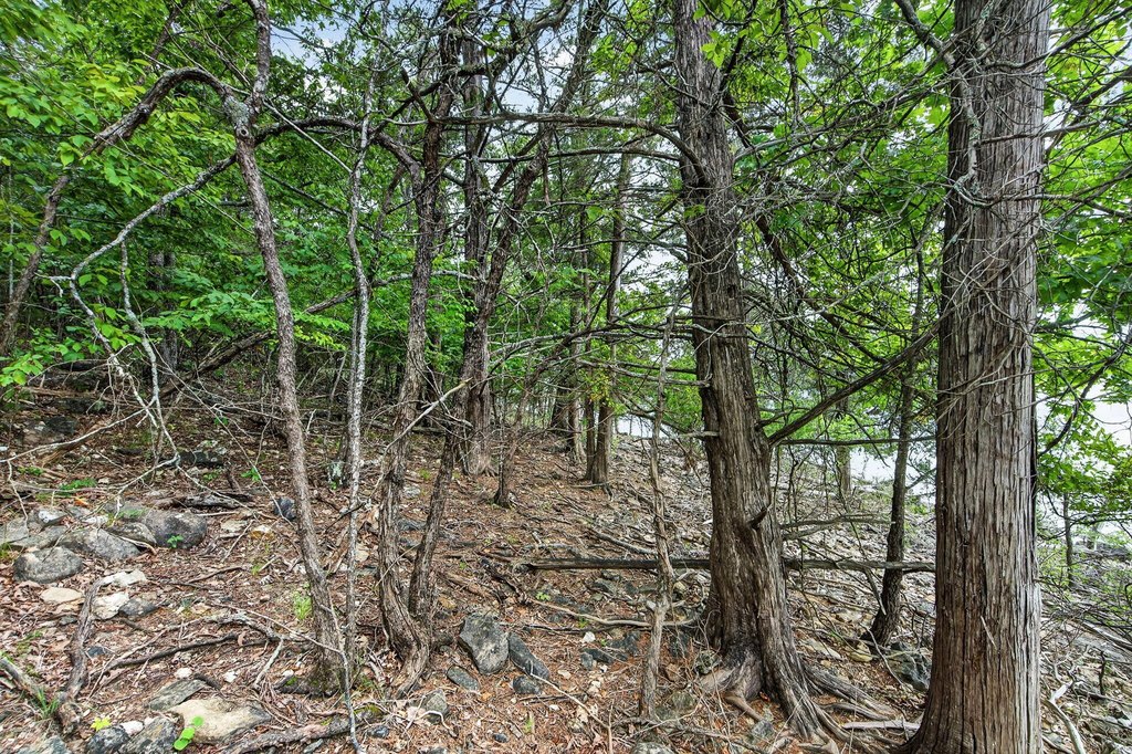 Picture 19