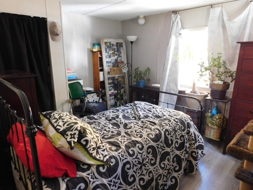 Picture 41