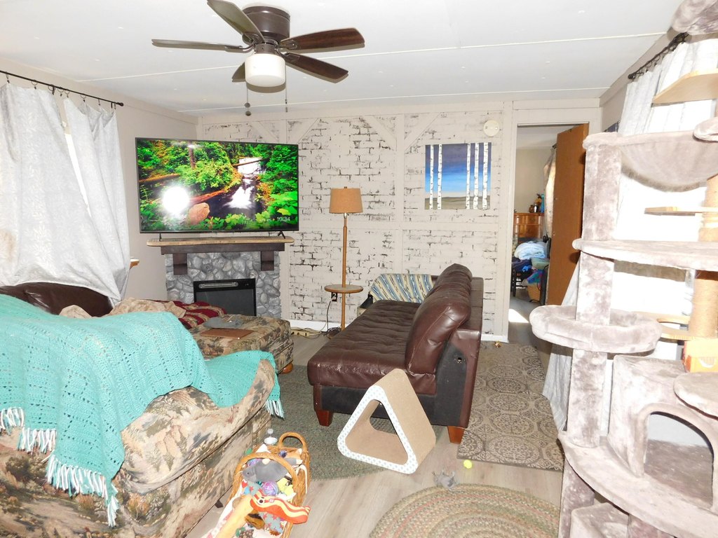 Picture 25