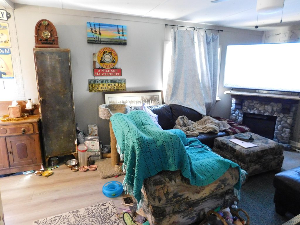 Picture 28