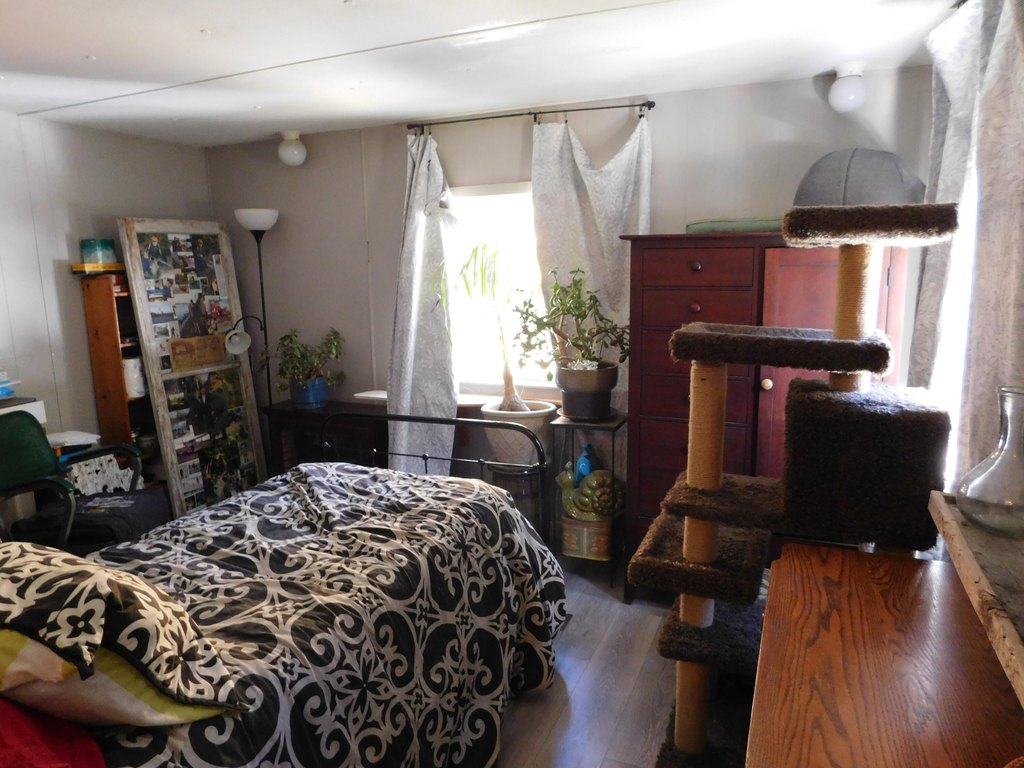 Picture 42