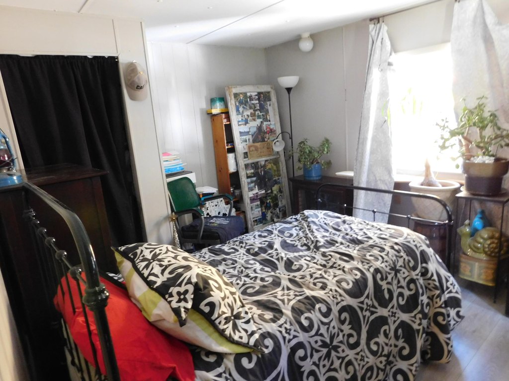 Picture 39
