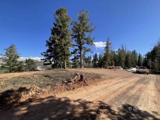 Picture 6