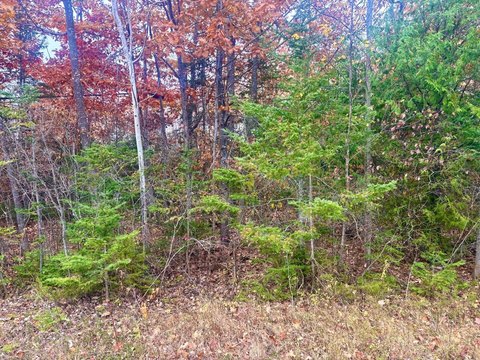 LAND - Presque Isle, MI
