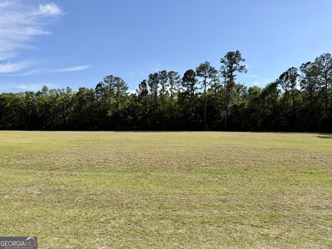 Unrestricted Land Near Woodbine, GA