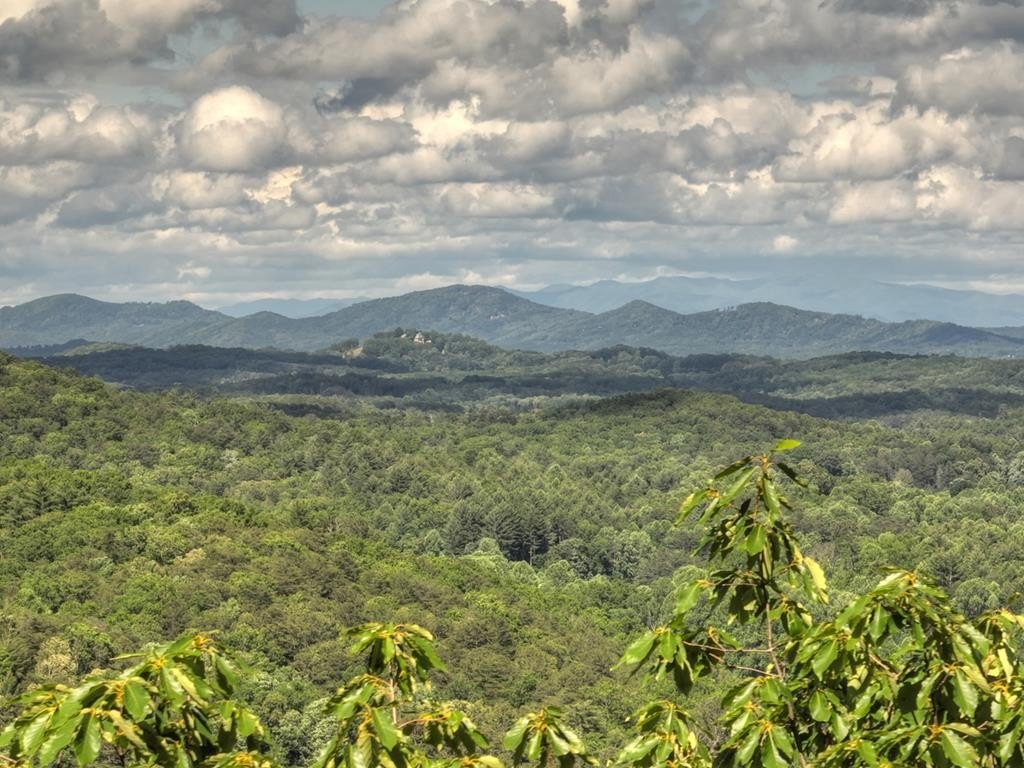 Epworth, GA Vacant Mountain Lot