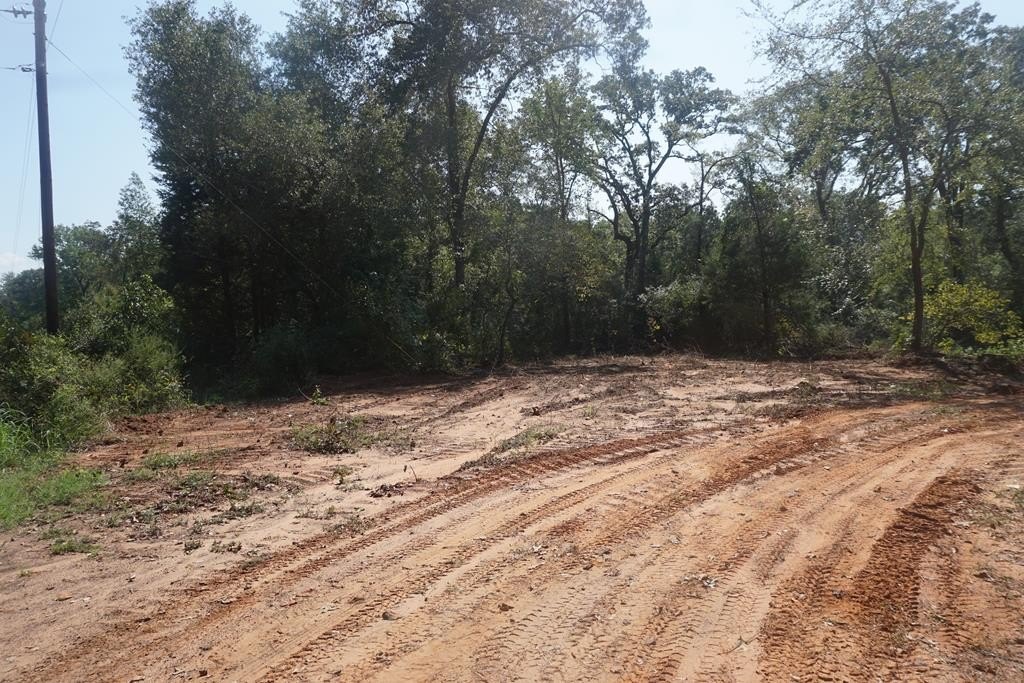 Rolling Land Tract in Palestine