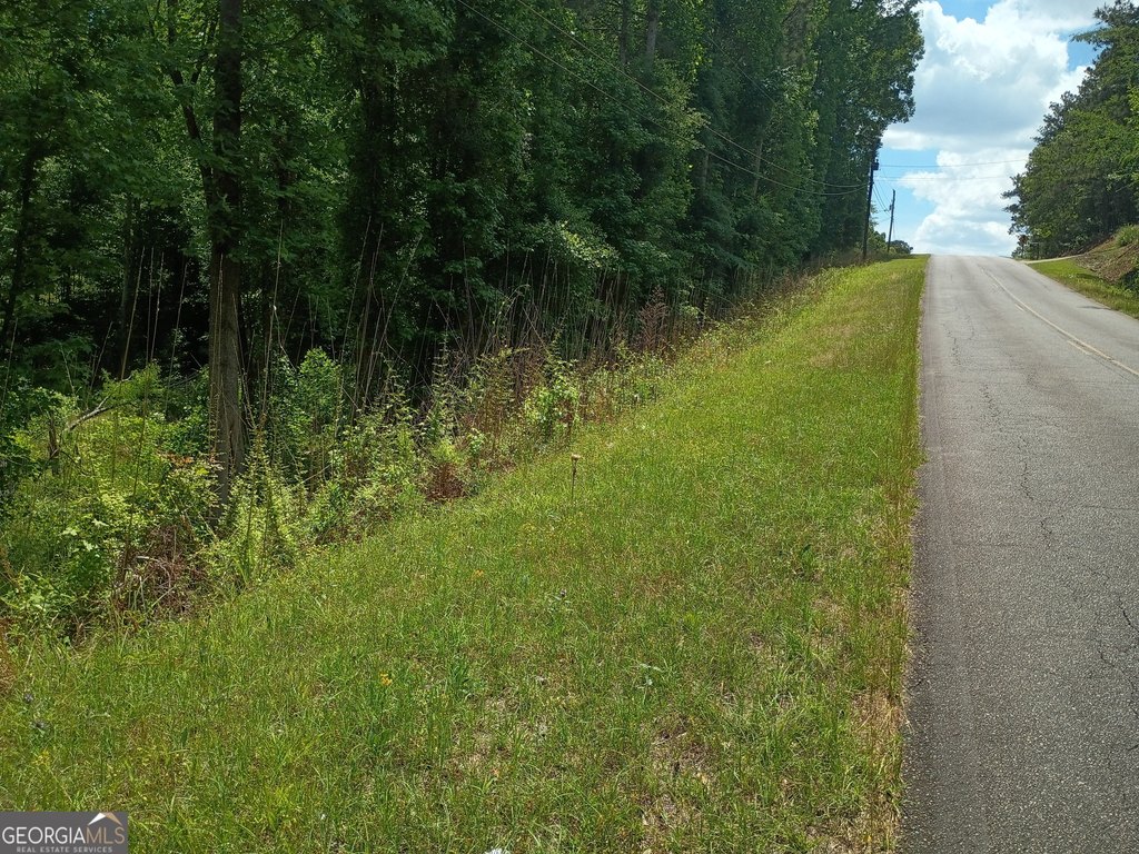 Picture 3