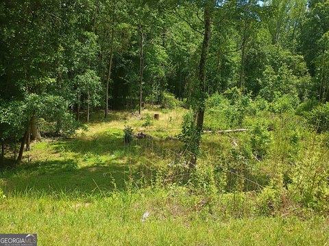LAND - Milledgeville, GA