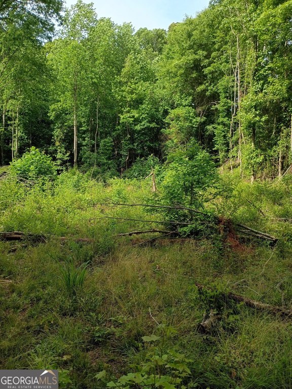 Picture 10