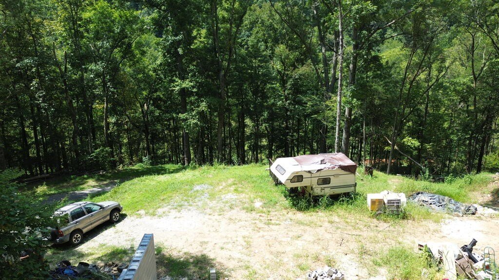 Picture 4