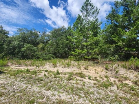 LAND - DUNNELLON, FL