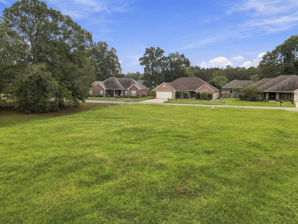 Picture 17