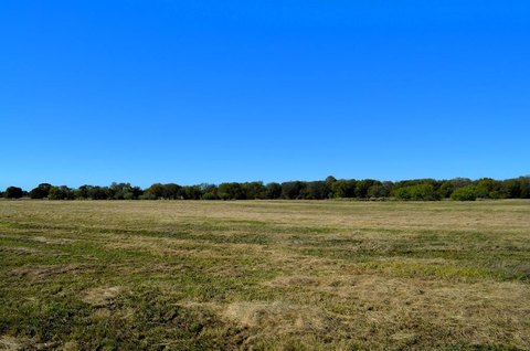 Beautiful 15 Acres in Mabank