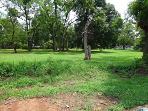 LAND - BIRMINGHAM, AL