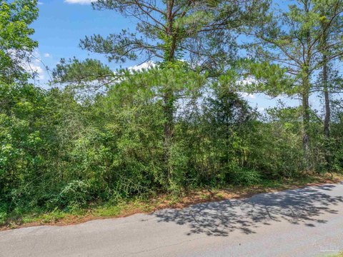 Residential Homesite in Jay, FL