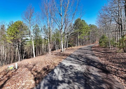 Blairsville Vacant Lot with Potential