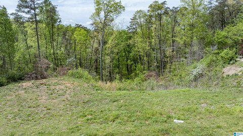 LAND - GARDENDALE, AL