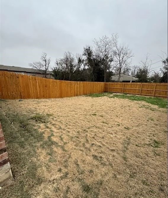 Picture 16