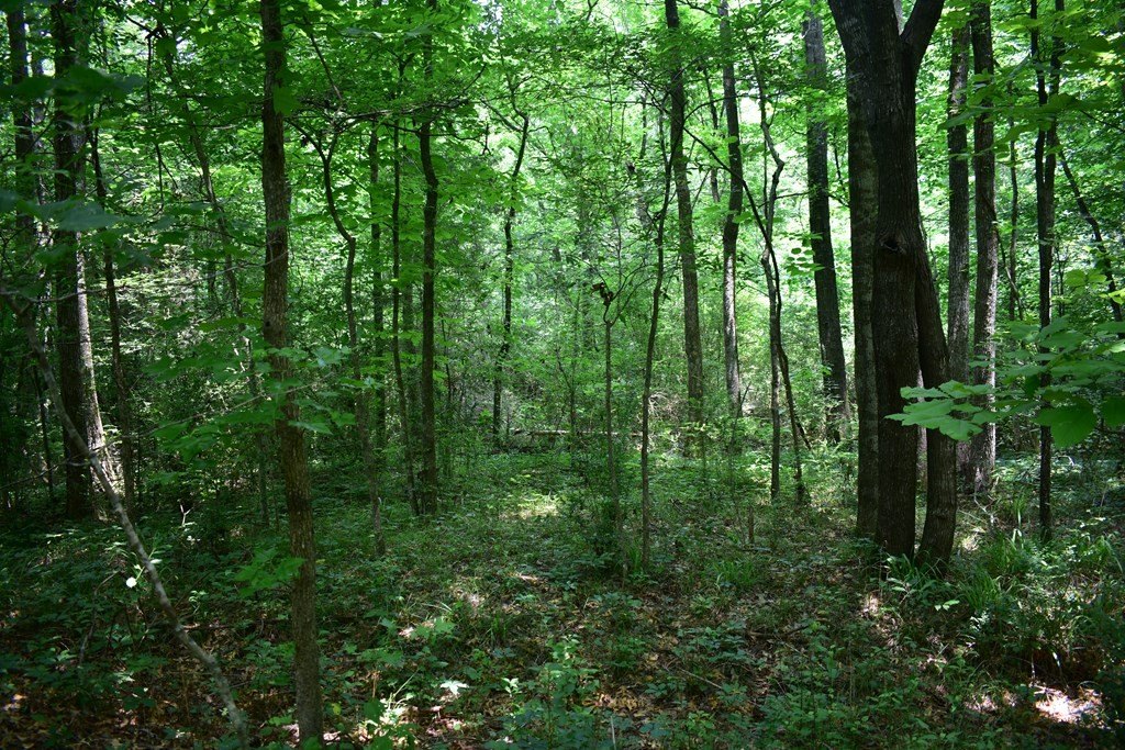 Picture 3