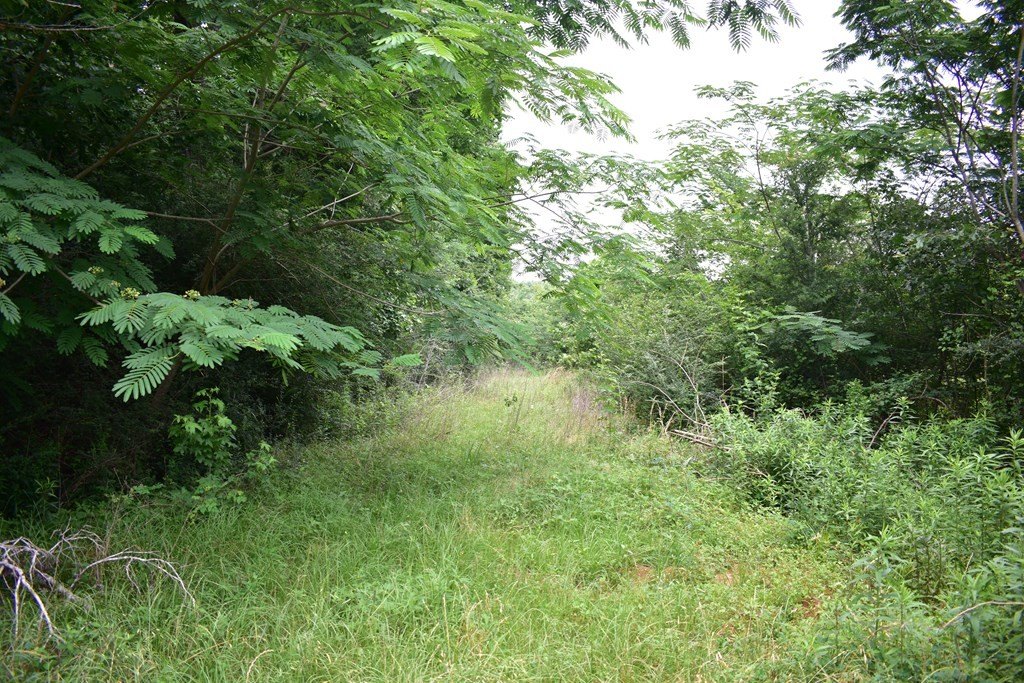 Picture 5