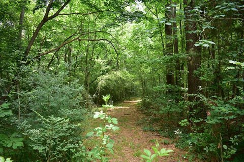 Residential Land in Nacogdoches, TX