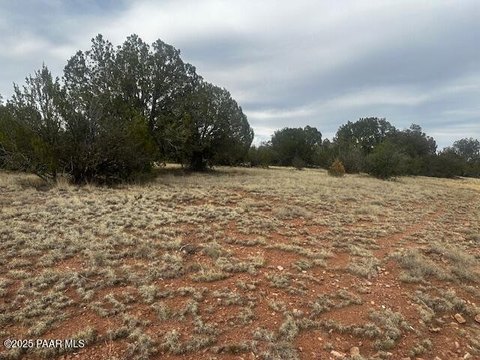 LAND - Seligman, AZ