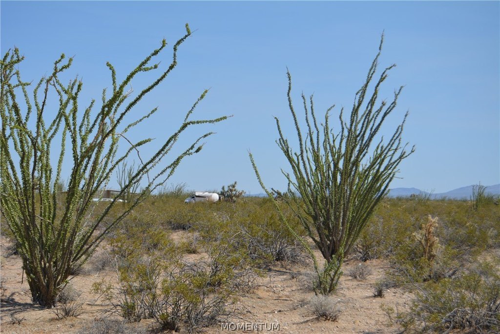 Picture 25