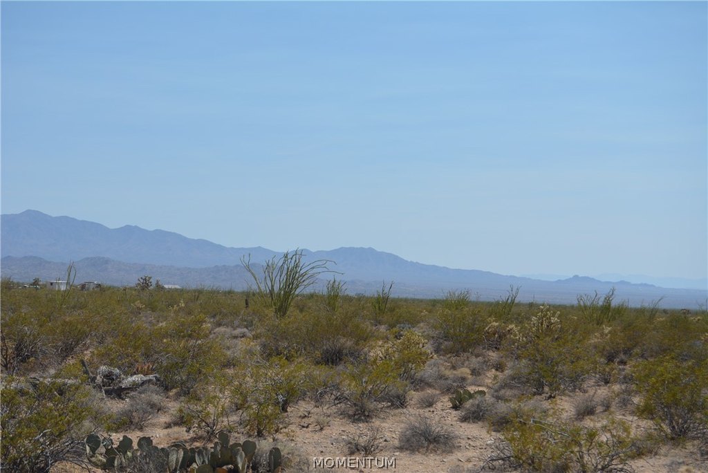 Picture 41