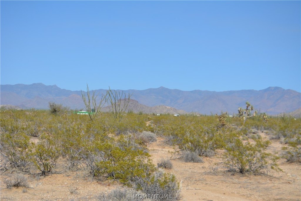Picture 16
