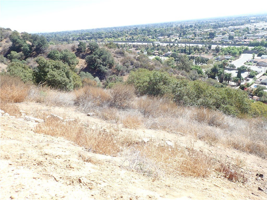 Picture 22