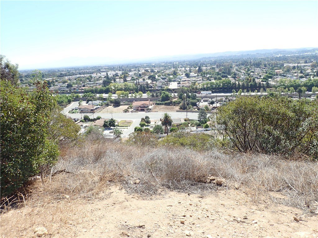 Picture 17
