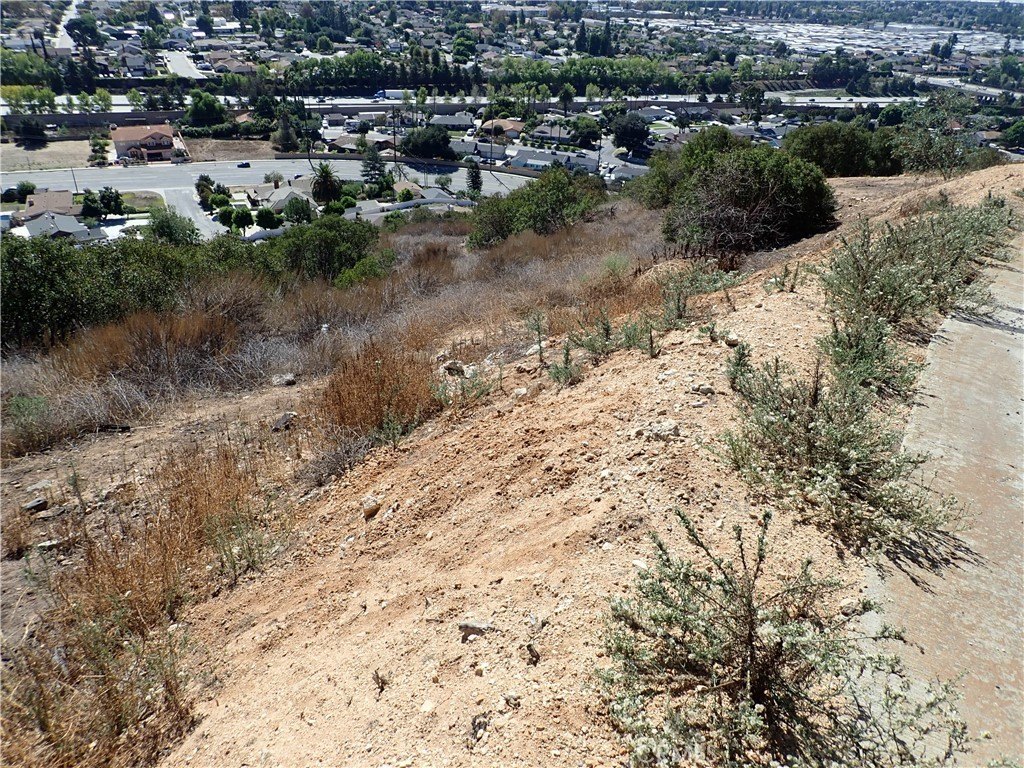 Picture 23