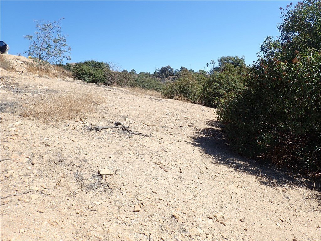 Picture 18