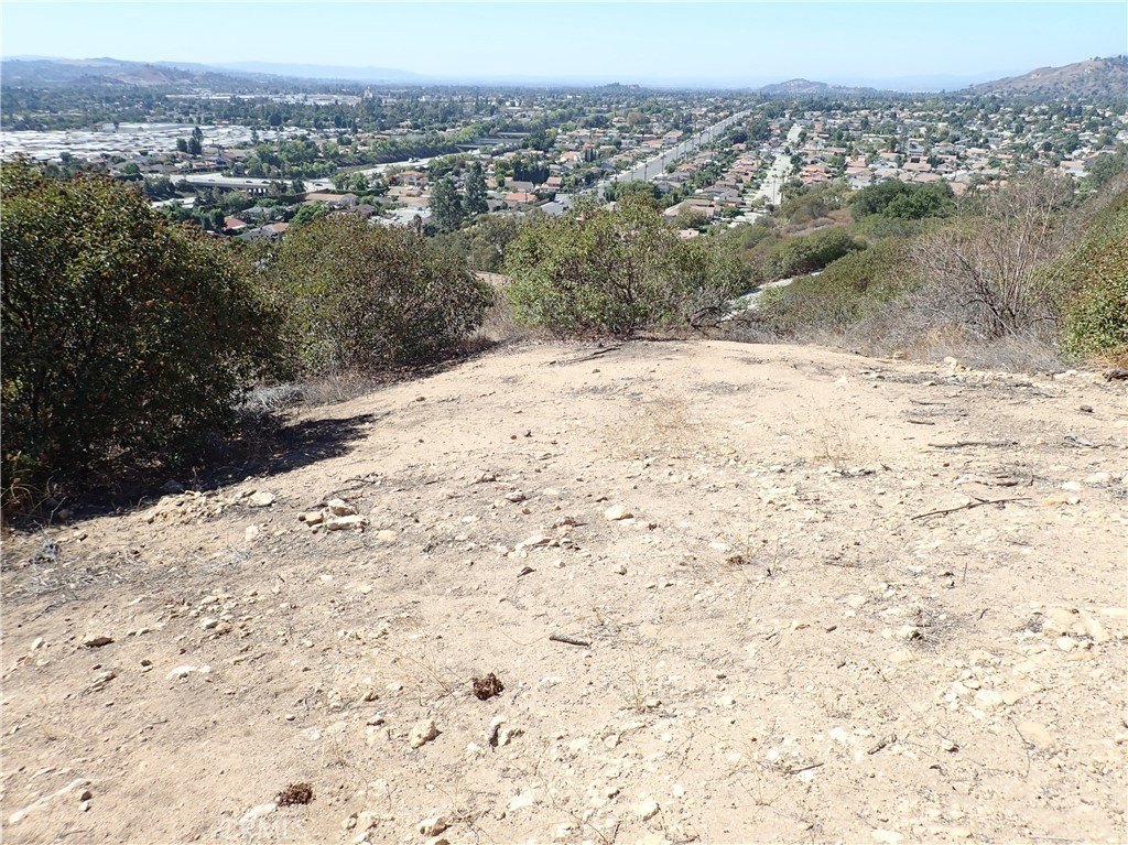 Picture 16
