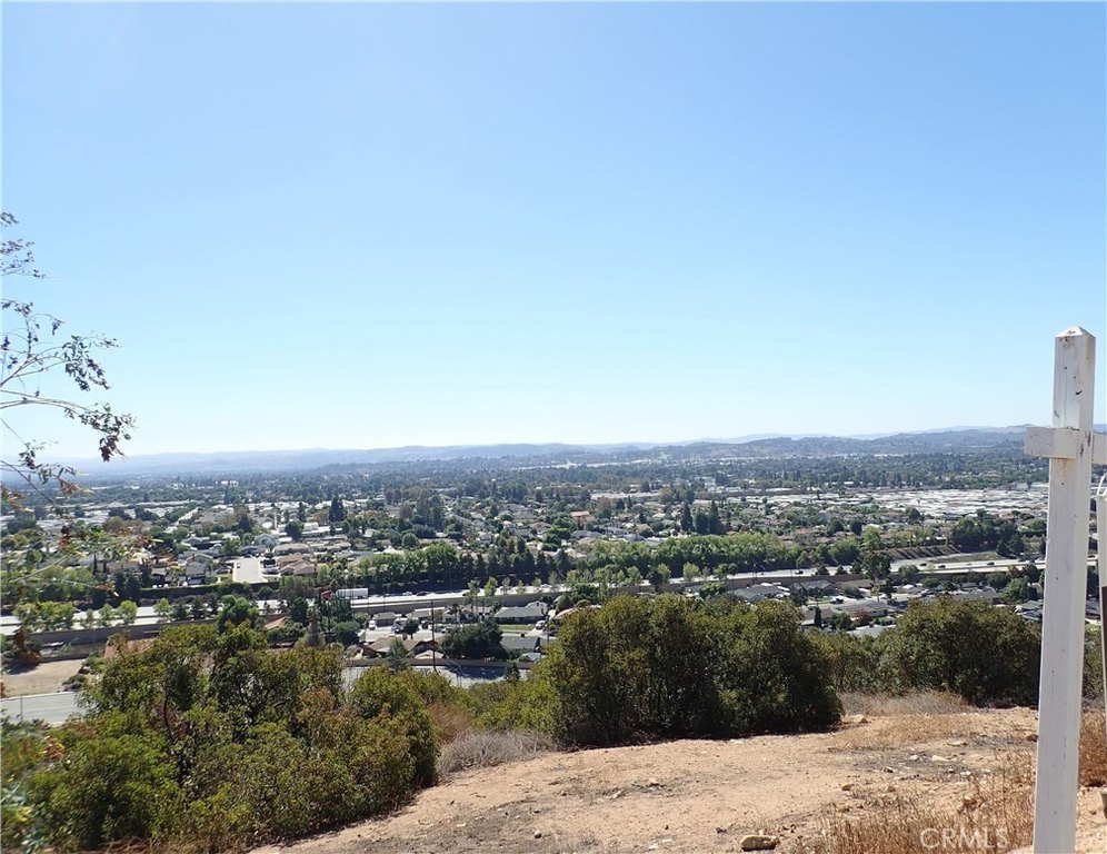 Picture 13