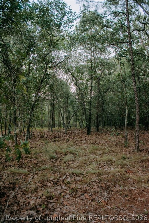 Picture 7