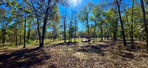 Land, Wicksburg, AL