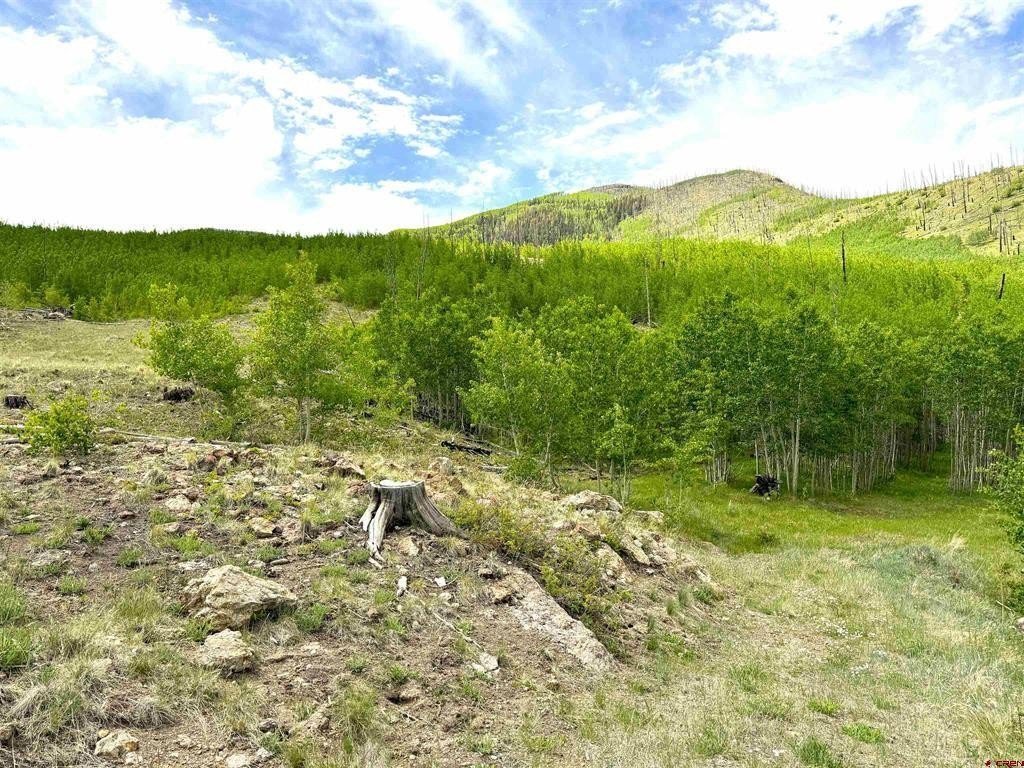 Picture 4