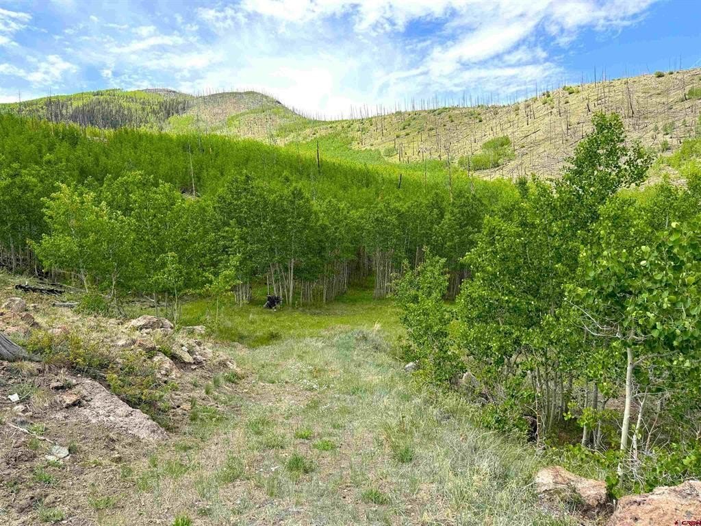 Land in South Fork, Colorado