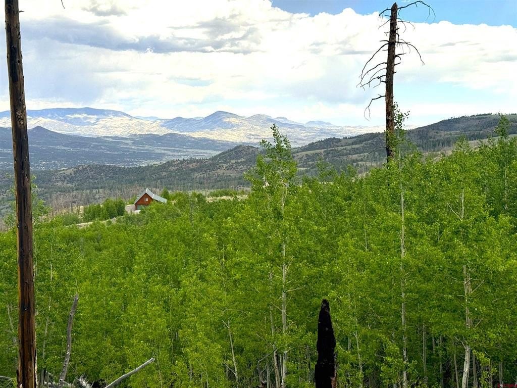 Picture 9