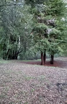Los Gatos Mountain Land Parcel